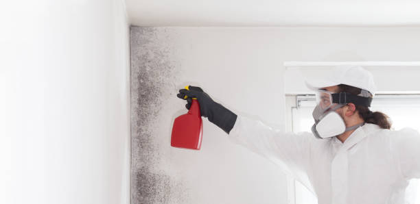 Best Mold Inspection  in Kinder, LA